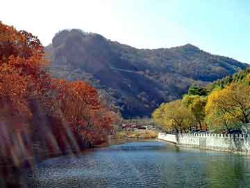 管家婆黑白马报图库，桑植seo排名